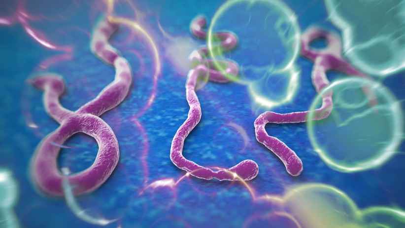 ویروس ابولا خطرناک و کشنده