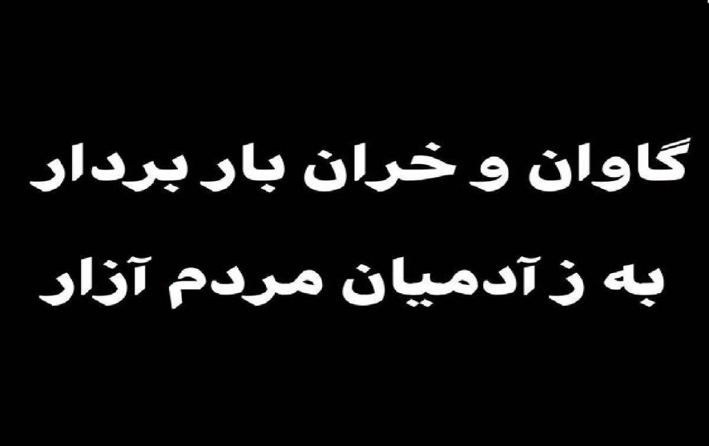 گاوان و خران بار بردار