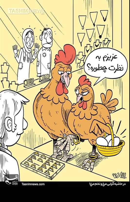 کاریکاتور درباره گرانی مرغ و تخم مرغ